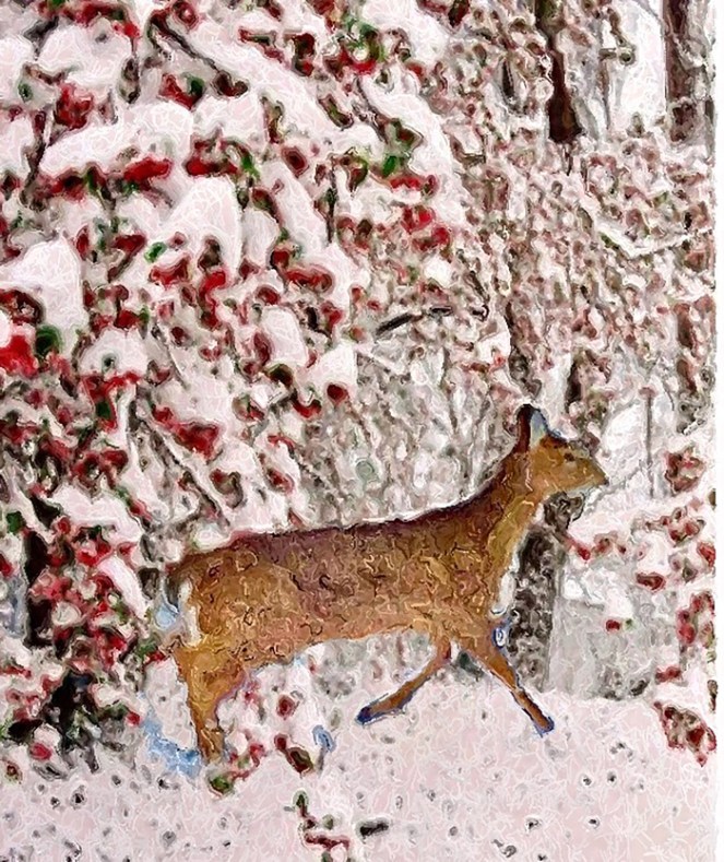 late-winter-deer