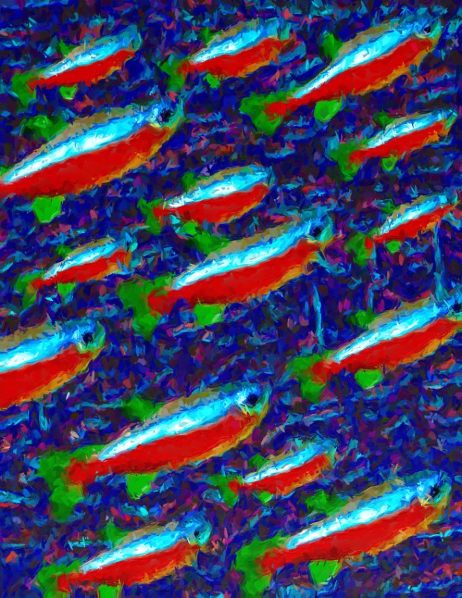 Neon Fish