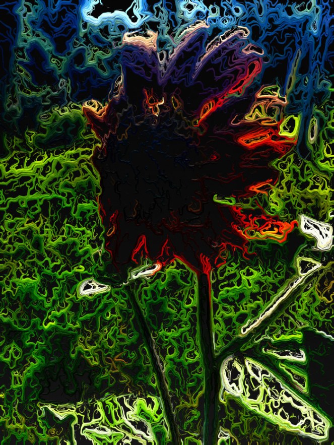 Red Bloom