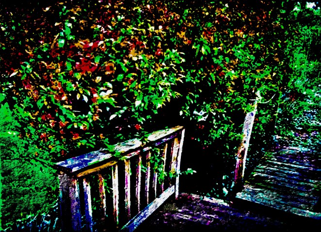 Spring In The Garden