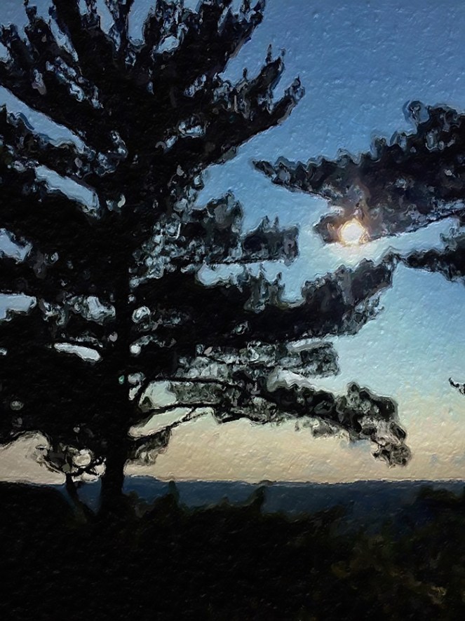 tree-on-the-mountain